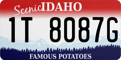 ID license plate 1T8087G