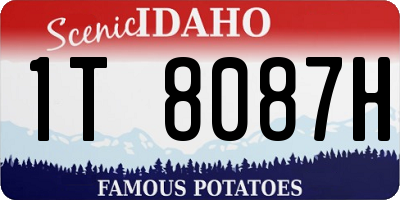 ID license plate 1T8087H