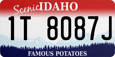 ID license plate 1T8087J