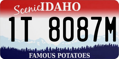 ID license plate 1T8087M