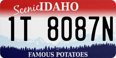 ID license plate 1T8087N