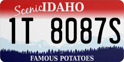 ID license plate 1T8087S