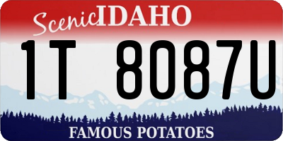 ID license plate 1T8087U