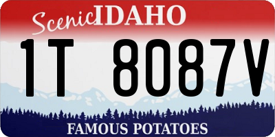 ID license plate 1T8087V