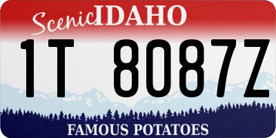 ID license plate 1T8087Z