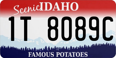 ID license plate 1T8089C