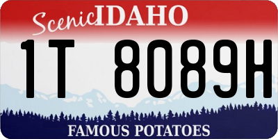 ID license plate 1T8089H