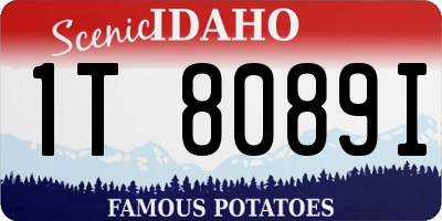 ID license plate 1T8089I
