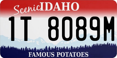 ID license plate 1T8089M