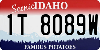 ID license plate 1T8089W