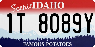 ID license plate 1T8089Y