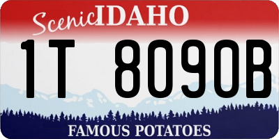 ID license plate 1T8090B
