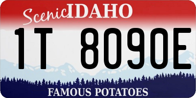 ID license plate 1T8090E
