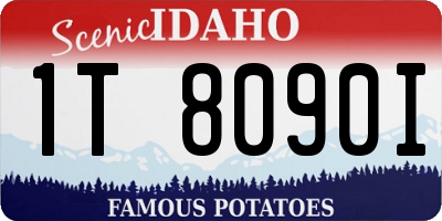 ID license plate 1T8090I