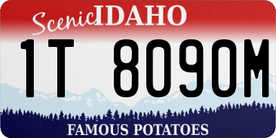 ID license plate 1T8090M
