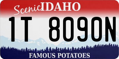 ID license plate 1T8090N