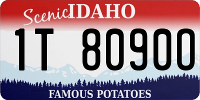 ID license plate 1T8090O