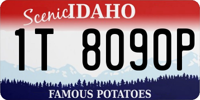 ID license plate 1T8090P