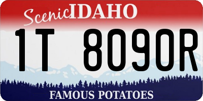 ID license plate 1T8090R