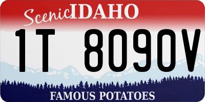 ID license plate 1T8090V