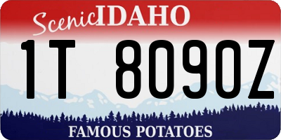 ID license plate 1T8090Z