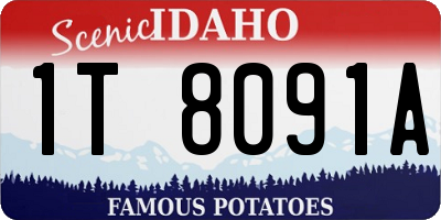 ID license plate 1T8091A