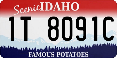 ID license plate 1T8091C