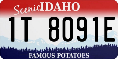ID license plate 1T8091E