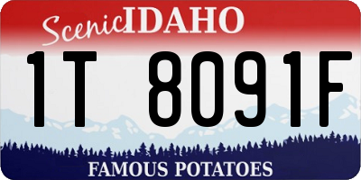 ID license plate 1T8091F