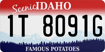 ID license plate 1T8091G
