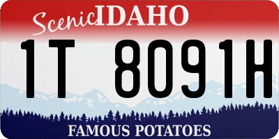 ID license plate 1T8091H