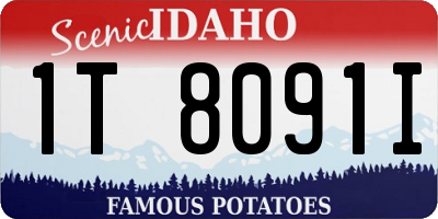 ID license plate 1T8091I