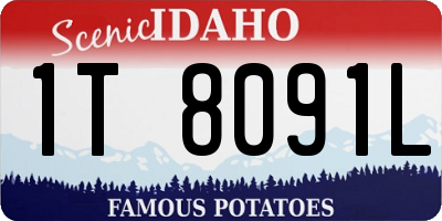 ID license plate 1T8091L