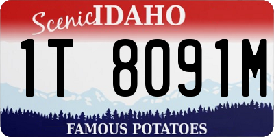 ID license plate 1T8091M