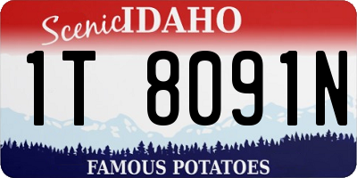 ID license plate 1T8091N