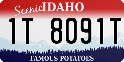 ID license plate 1T8091T