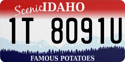 ID license plate 1T8091U
