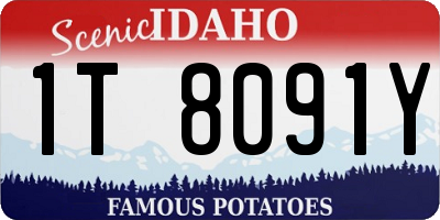 ID license plate 1T8091Y