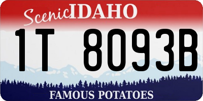 ID license plate 1T8093B