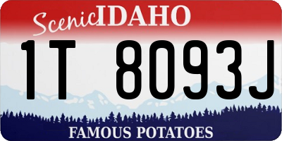 ID license plate 1T8093J