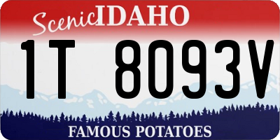 ID license plate 1T8093V