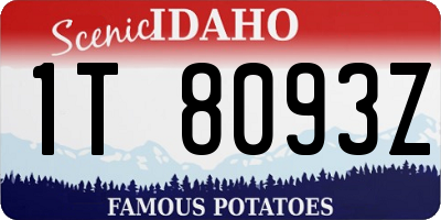 ID license plate 1T8093Z