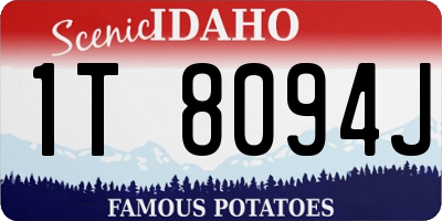 ID license plate 1T8094J