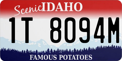 ID license plate 1T8094M