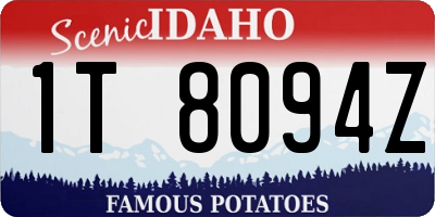ID license plate 1T8094Z