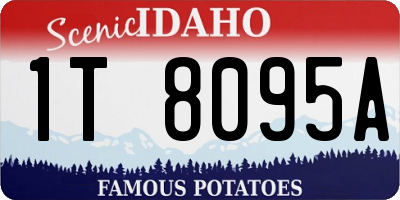 ID license plate 1T8095A