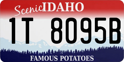 ID license plate 1T8095B