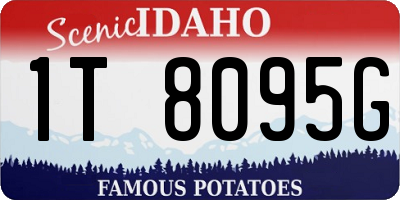 ID license plate 1T8095G