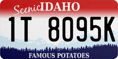 ID license plate 1T8095K