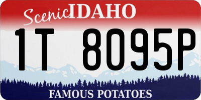ID license plate 1T8095P